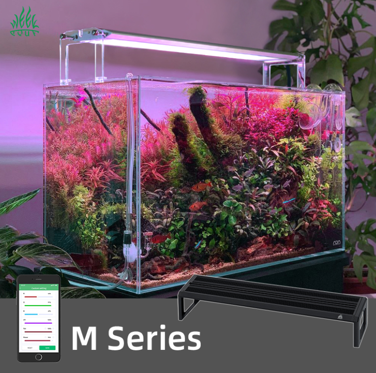 Aquarium Plant Display - WEEK AQUA M Series 400mm Aquarium