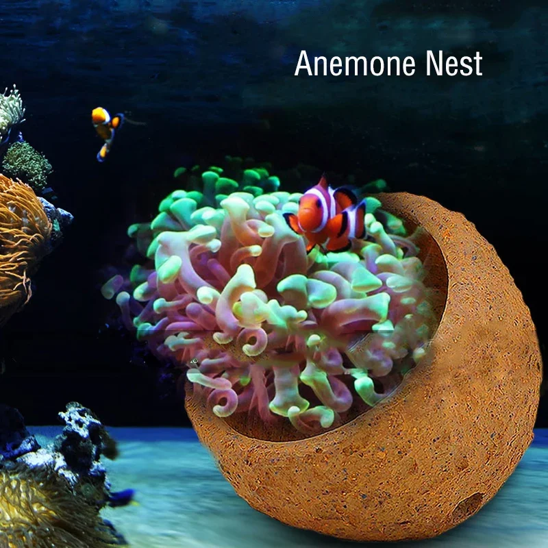 Anemone Nest Prevent Running A - Aquarium Planted Tank Soil reseña y precio