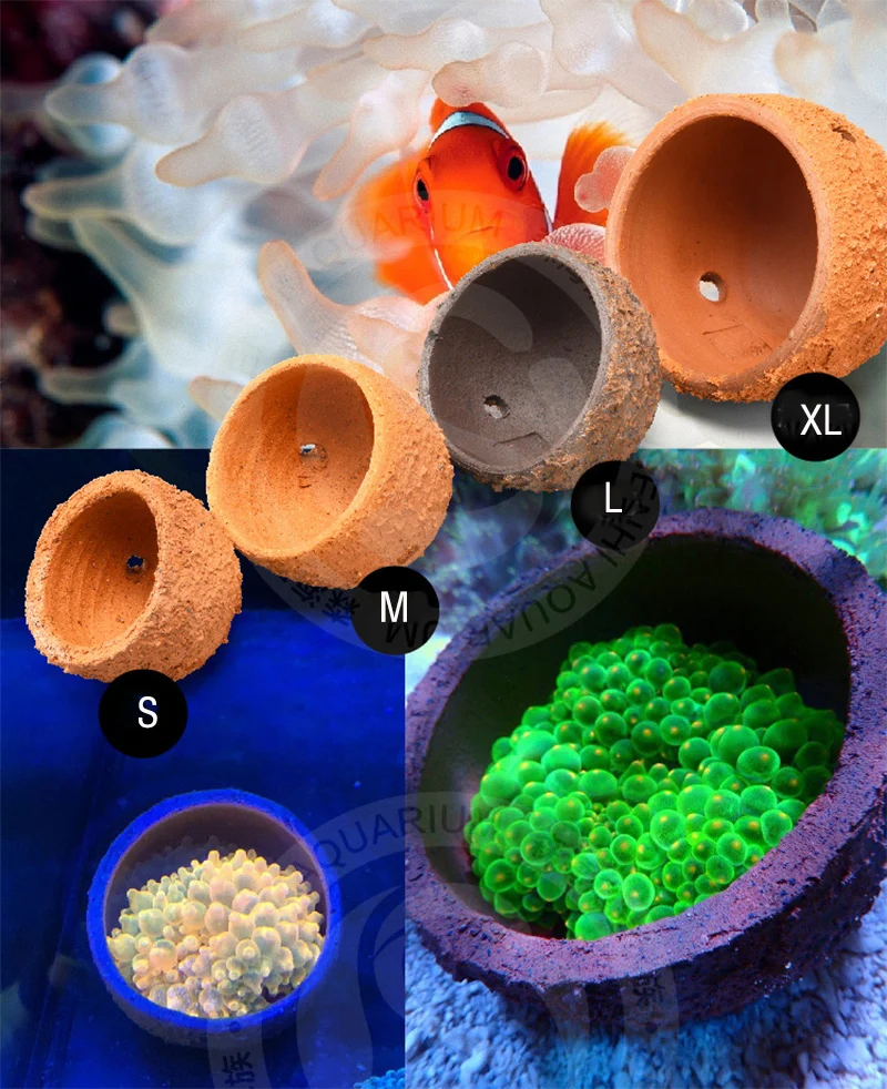 Anemone Nest Prevent Running A - Aquarium Planted Tank Soil reseña y precio