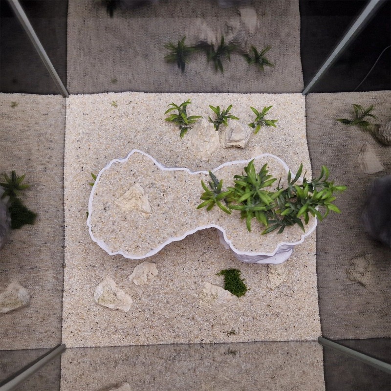 Aquarium 3D Printed Planting B - Aquarium Planted Tank Soil reseña y precio