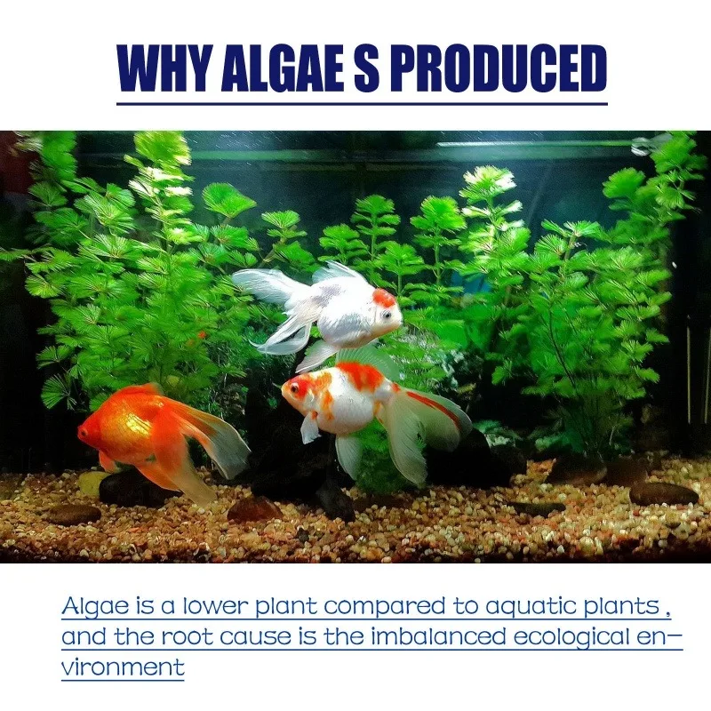 50g High Efficiency Algaecide  - Planted Aquarium Equipment reseña y precio