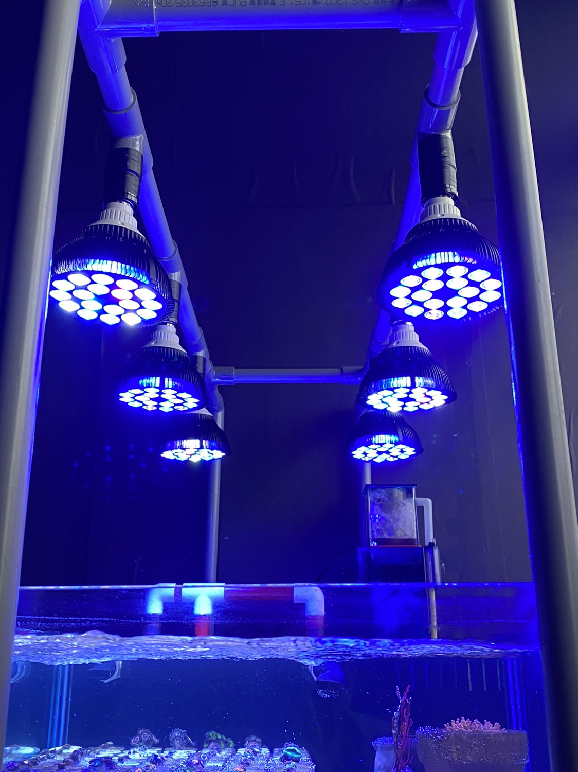 Full specturm LED Aquarium Ree - Aquarium Plant Display reseña y precio