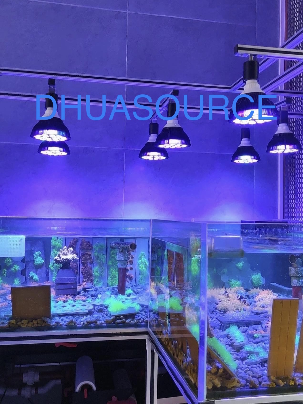 Full specturm LED Aquarium Ree - Aquarium Plant Display reseña y precio