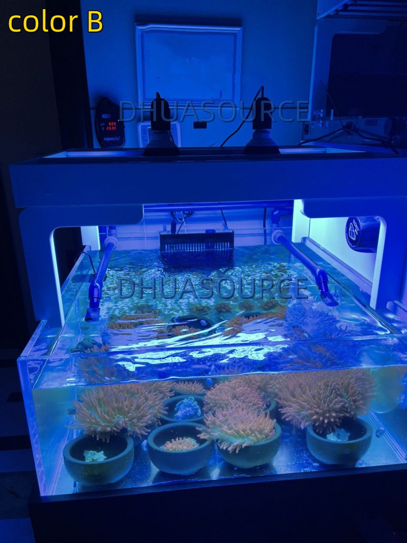 Full specturm LED Aquarium Ree - Aquarium Plant Display reseña y precio