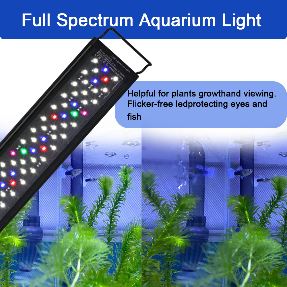 12-30 inch fish tank full spec - Aquarium Plant Display reseña y precio