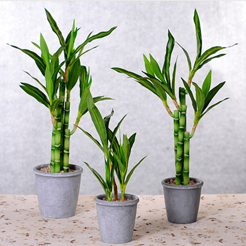New 40cm rFtificial Lucky Bamb - Aquarium Plant Display reseña y precio