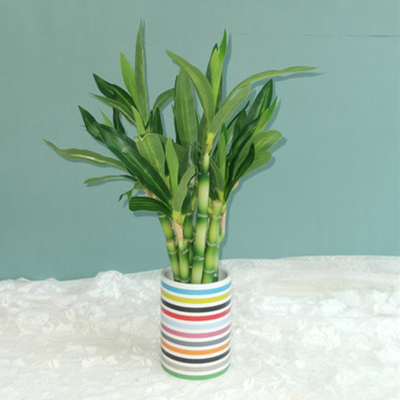 New 40cm rFtificial Lucky Bamb - Aquarium Plant Display reseña y precio