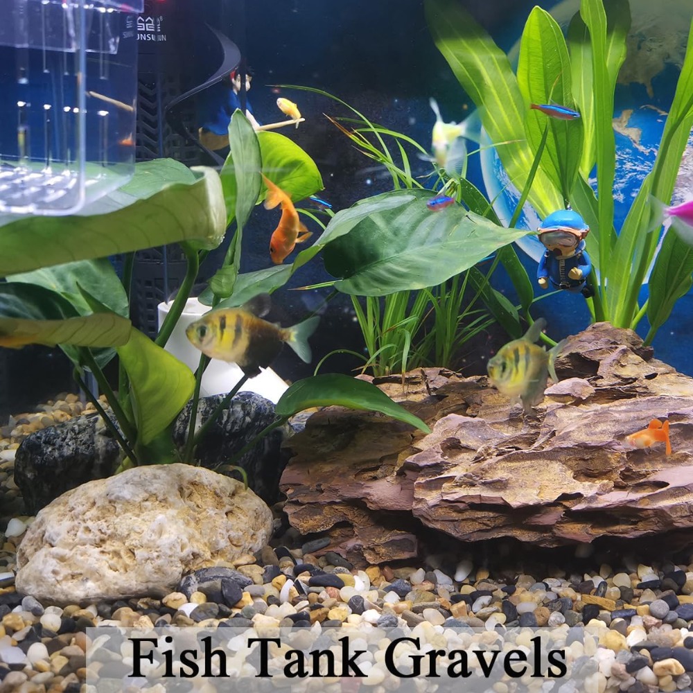 5 lbs Natural Pea Gravel for F - Aquarium Planted Tank Soil reseña y precio