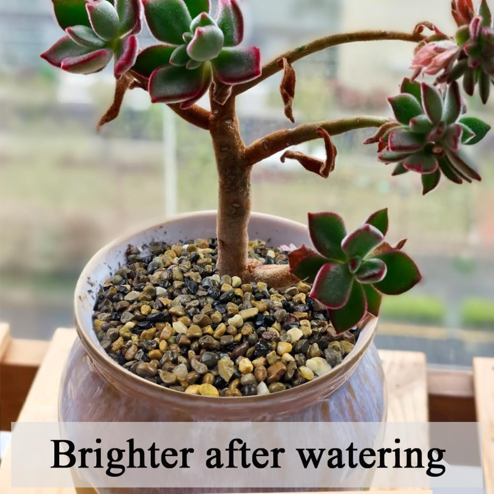 5 lbs Natural Pea Gravel for F - Aquarium Planted Tank Soil reseña y precio