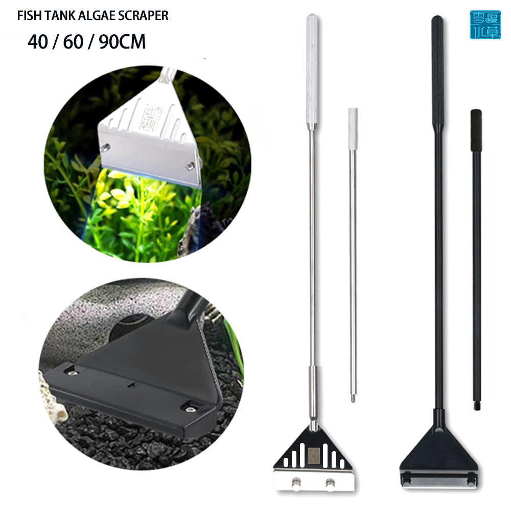 Aquarium stainless steel fish  - Planted Aquarium Algae reseña y precio
