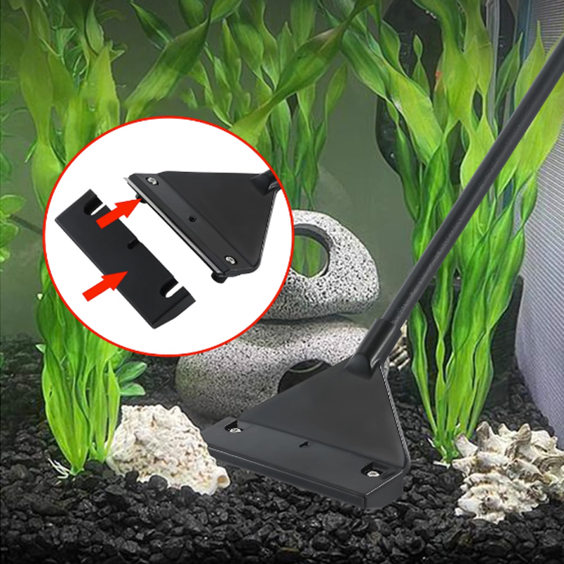 Aquarium stainless steel fish  - Planted Aquarium Algae reseña y precio