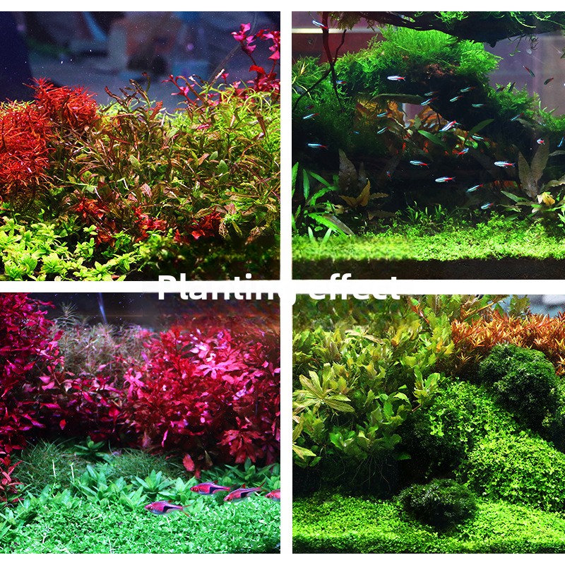 SYSENCIAGA Planted Aquarium Su - Aquarium Planted Tank Soil reseña y precio