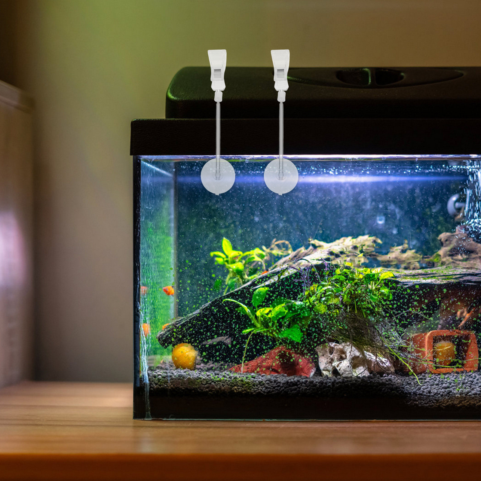 3Pcs Fish Tank Suction Cup Cli - Planted Aquarium Materials reseña y precio