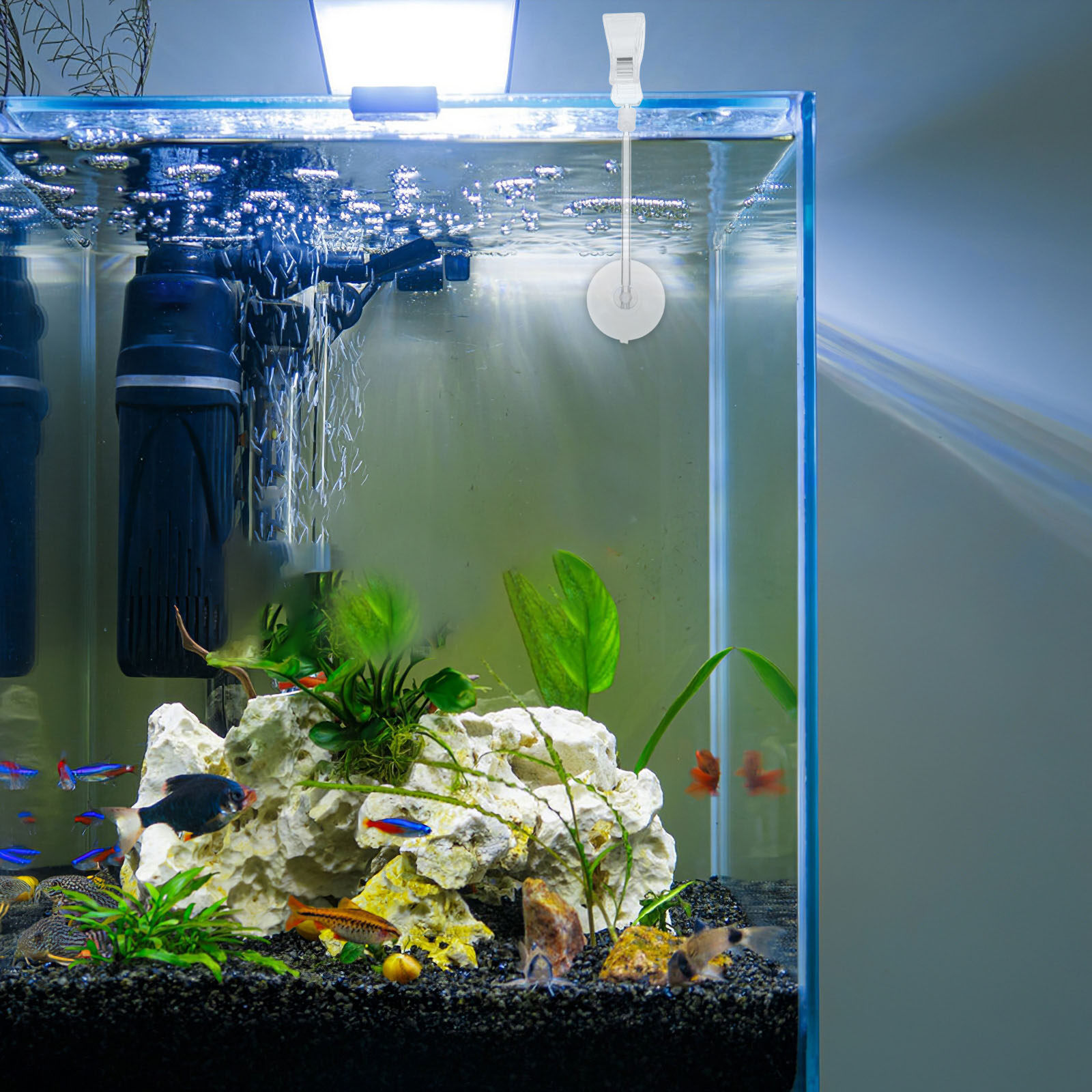 3Pcs Fish Tank Suction Cup Cli - Planted Aquarium Materials reseña y precio