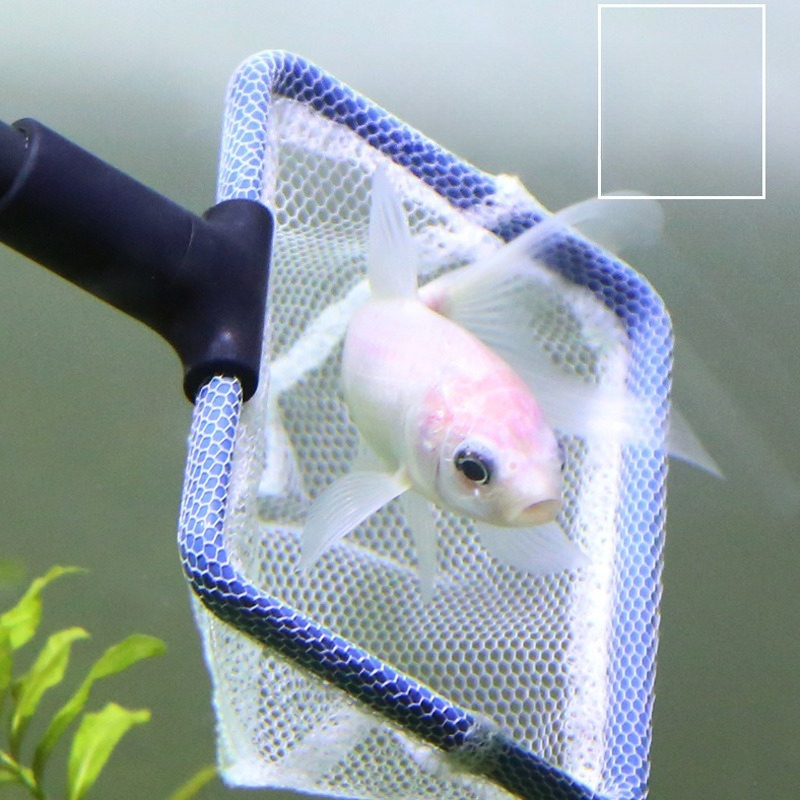 Aquarium Cleaning Tool Set Mul - Planted Aquarium Algae reseña y precio