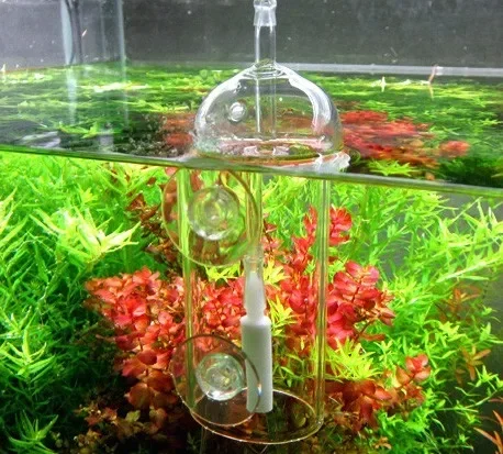 VIV Do Device Aquarium Cylinde - Planted Aquarium Equipment reseña y precio