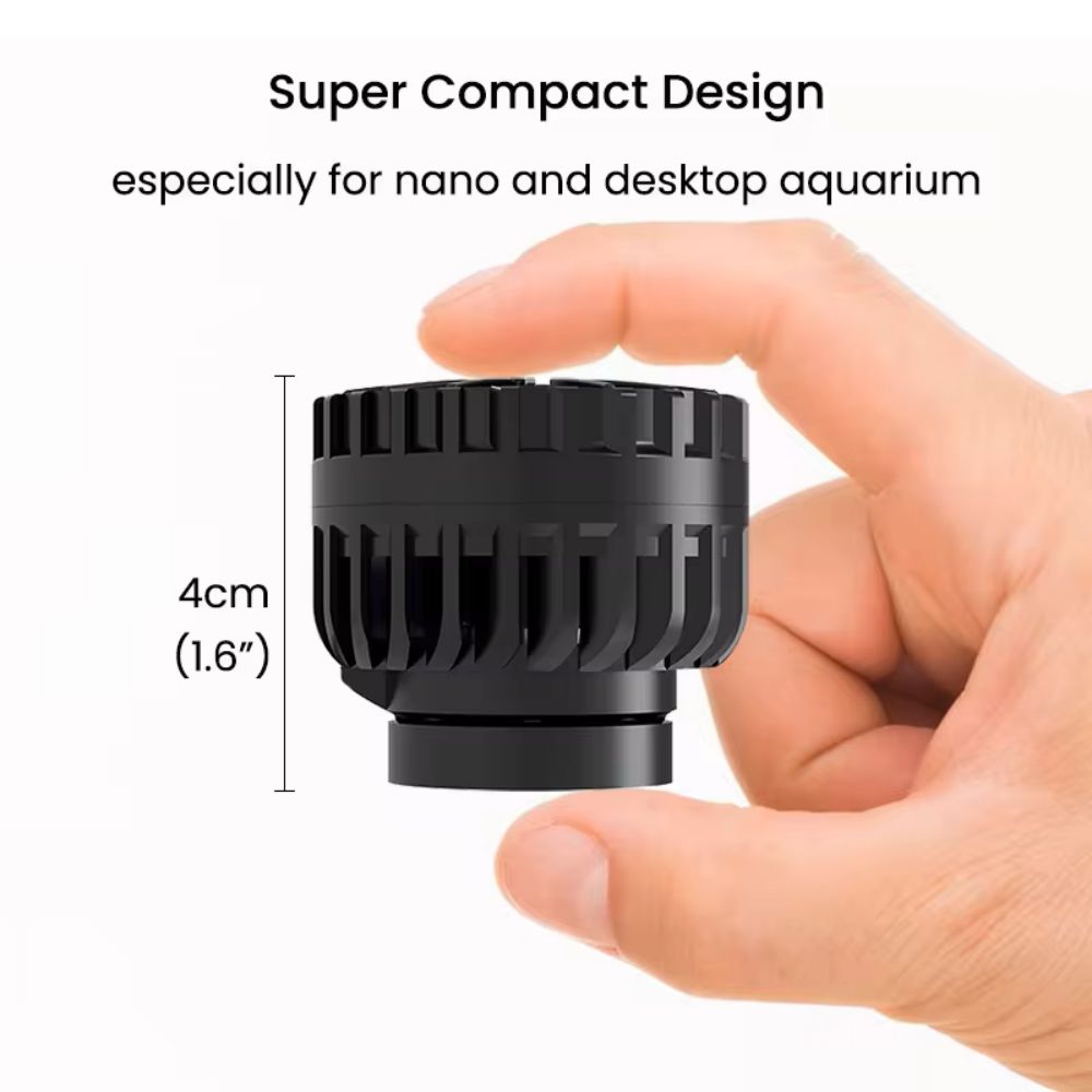 ZKSJ Third generation Mini Sli - Aquarium Plant Iron reseña y precio