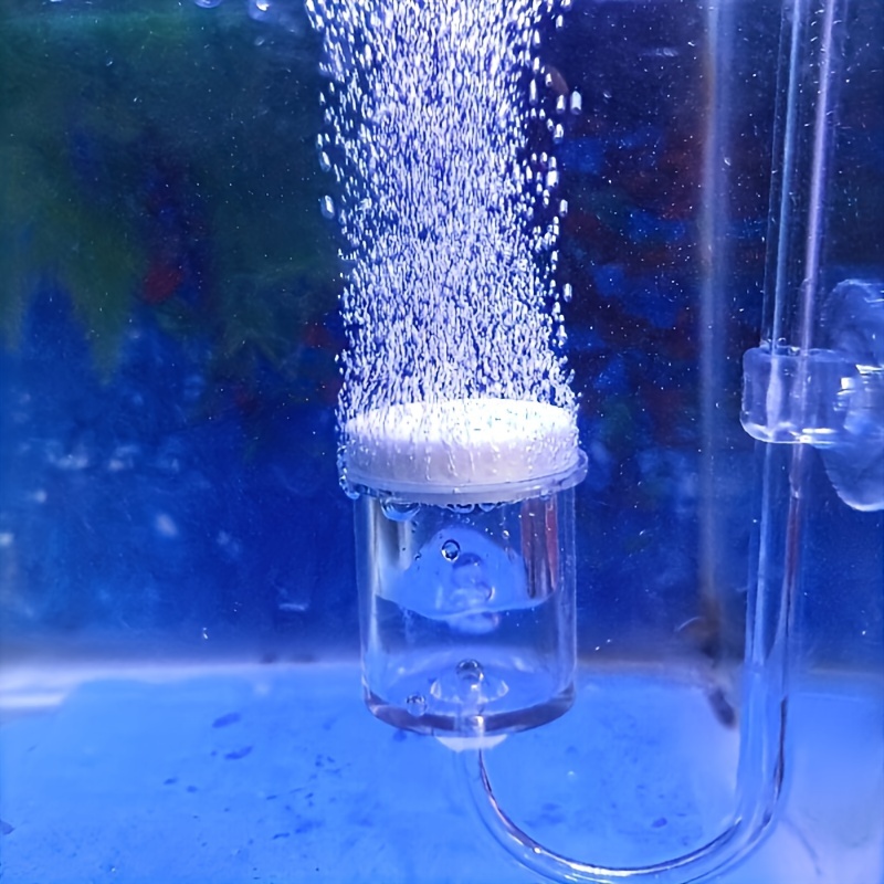 Aquarium Glass CO2 Atomizer Di - Planted Aquarium Equipment reseña y precio