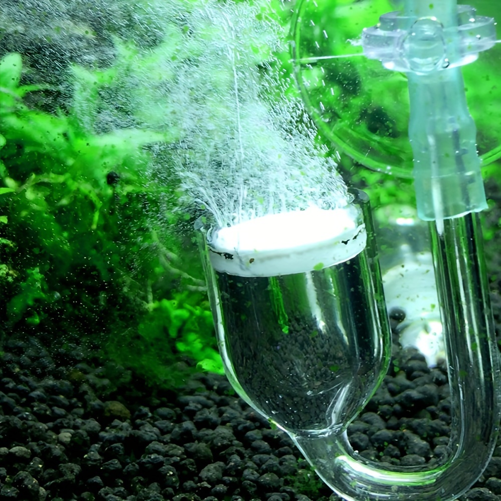 Aquarium Glass CO2 Atomizer Di - Planted Aquarium Equipment reseña y precio