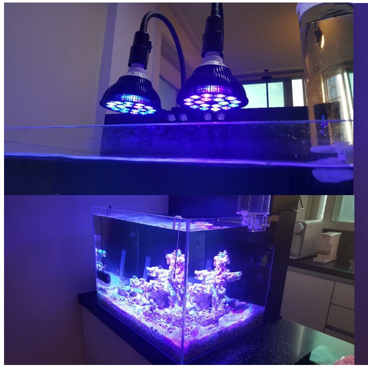 Free customize LED Aquarium li - Planted Aquarium Algae reseña y precio