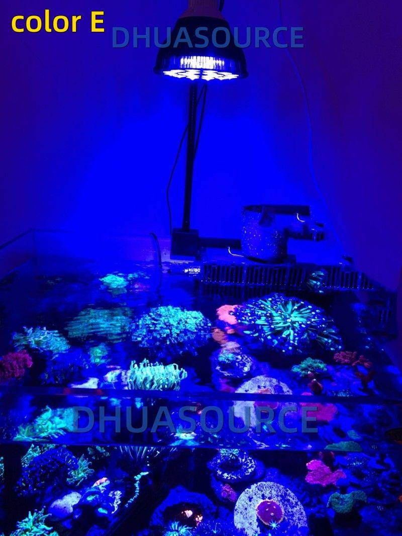Free customize LED Aquarium li - Planted Aquarium Algae reseña y precio
