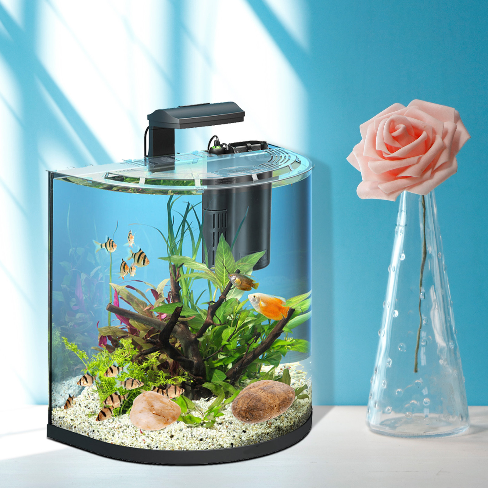 1Set Aquarium Pebbles Natural  - Aquarium Planted Tank reseña y precio