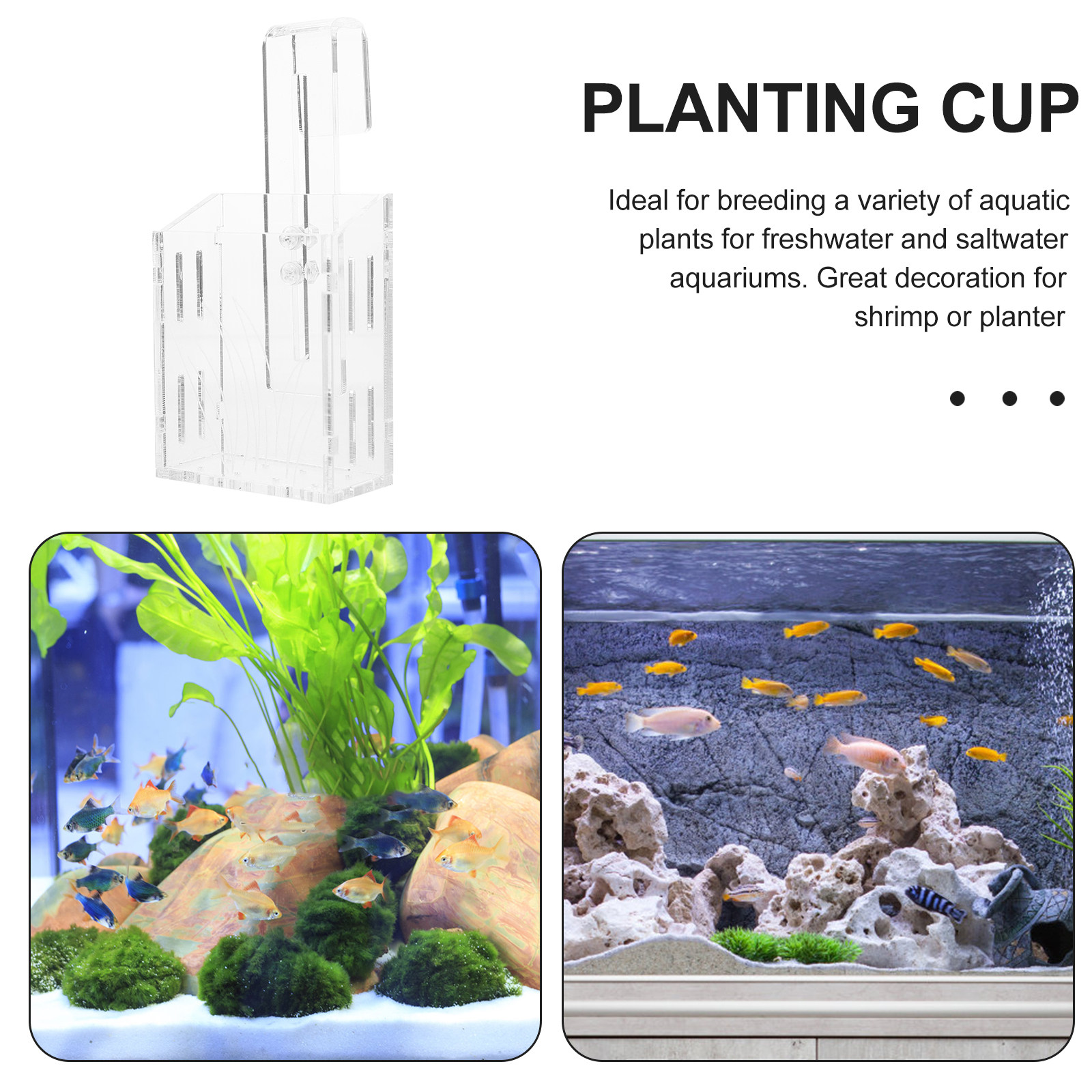 Transparent Water Plant Cup Du - Planted Aquarium Materials reseña y precio