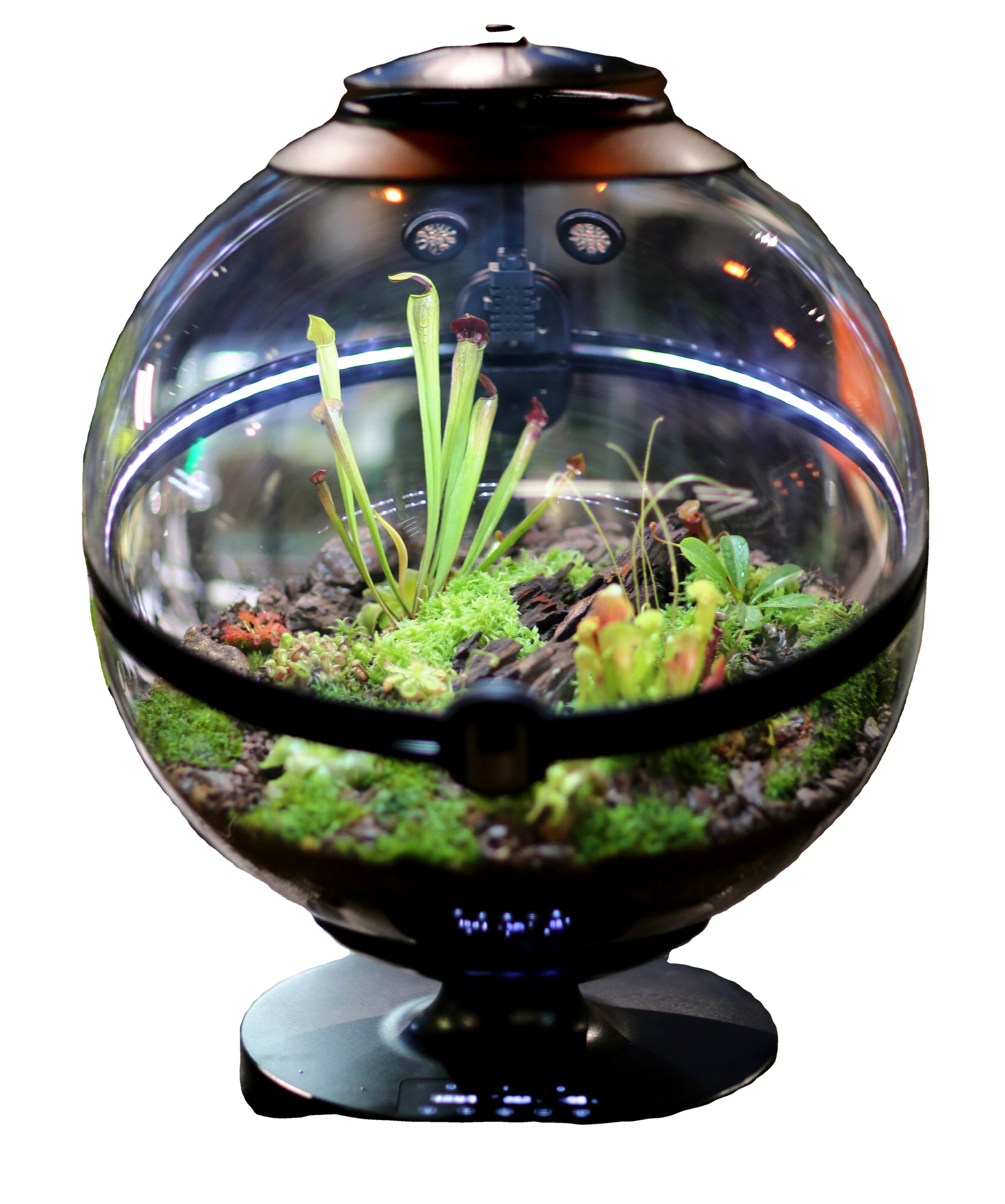 Hot Sales Acrylic Material  Ba - Planted Aquarium Materials reseña y precio