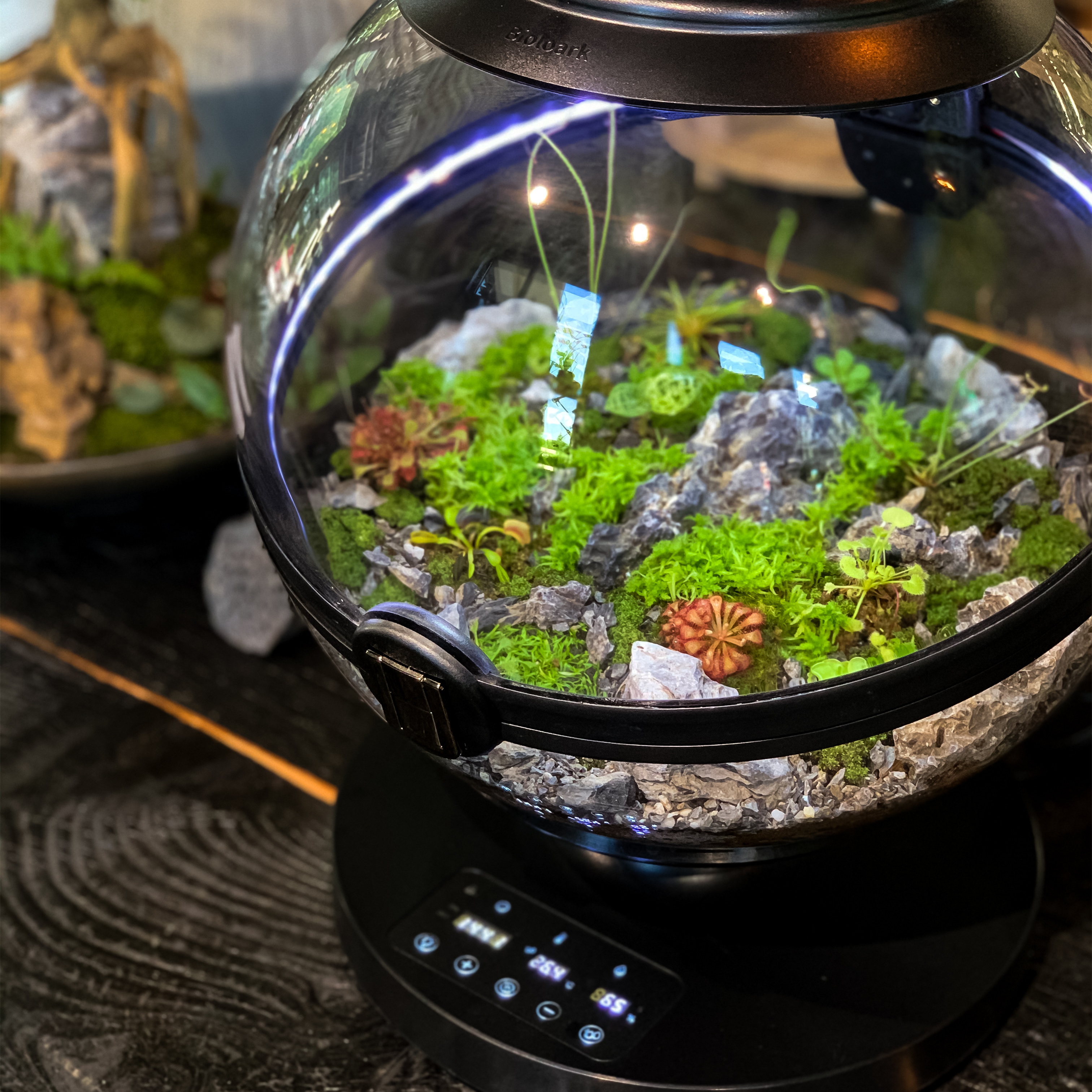 Hot Sales Acrylic Material  Ba - Planted Aquarium Materials reseña y precio