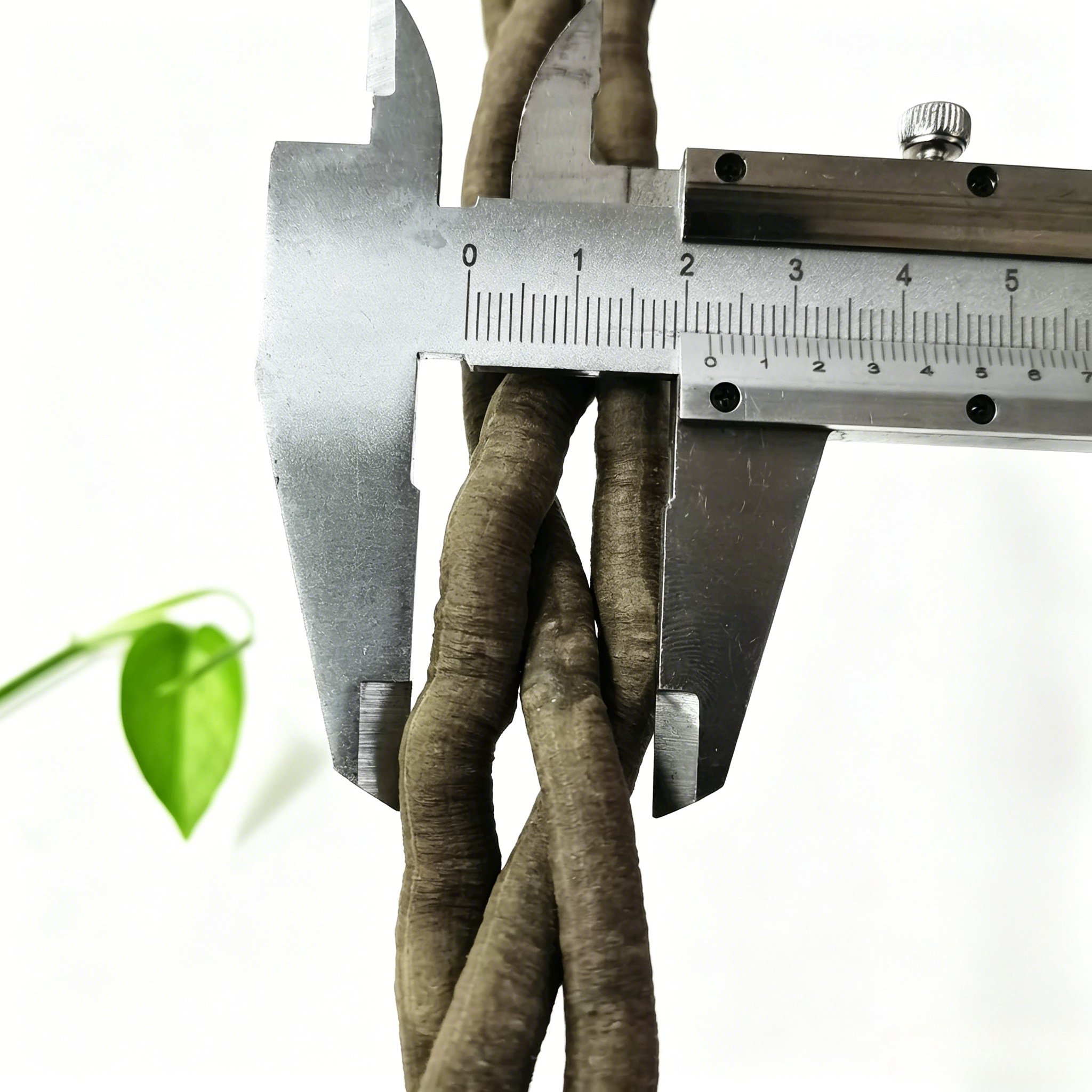100cm Artificial Vine Fake Pla - Aquarium Plant Display reseña y precio