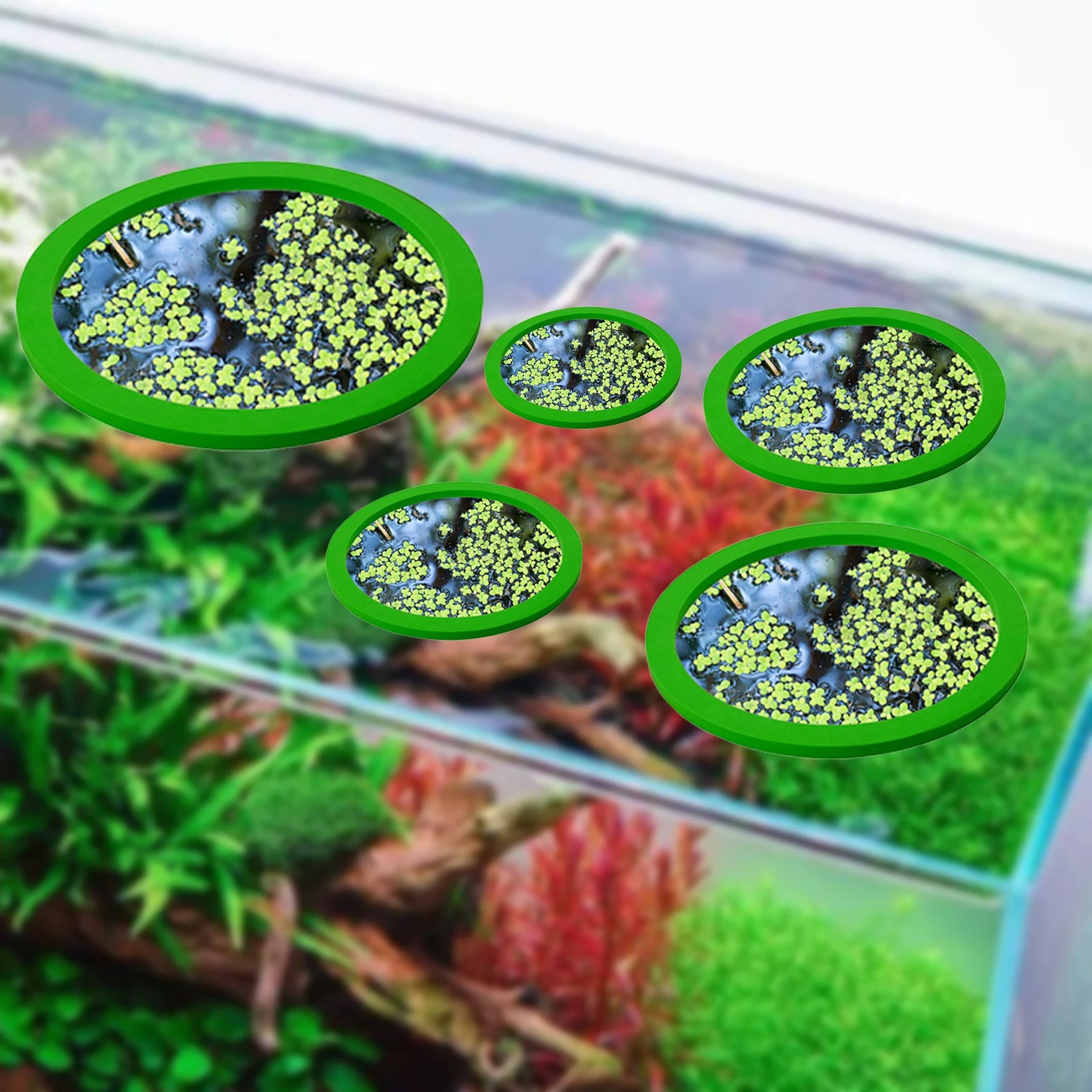 5Pcs EVA Fish Feeding Ring Aqu - Aquarium Planted Tank reseña y precio
