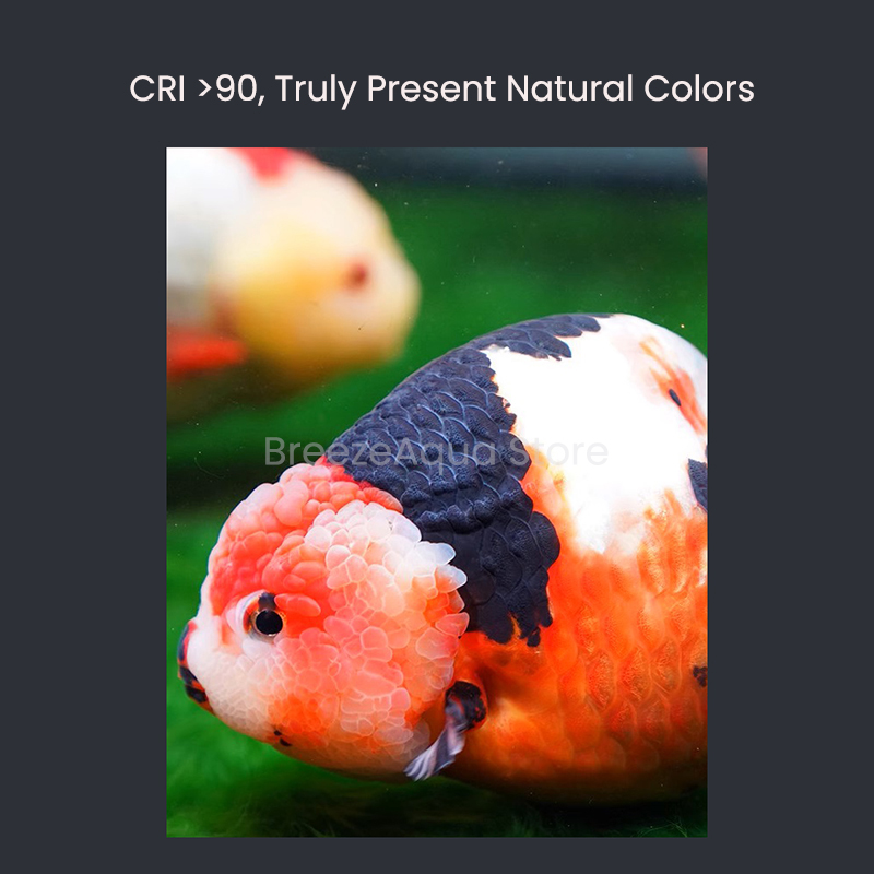 MAYIN Super Colour 100W Freshw - Planted Aquarium Algae reseña y precio