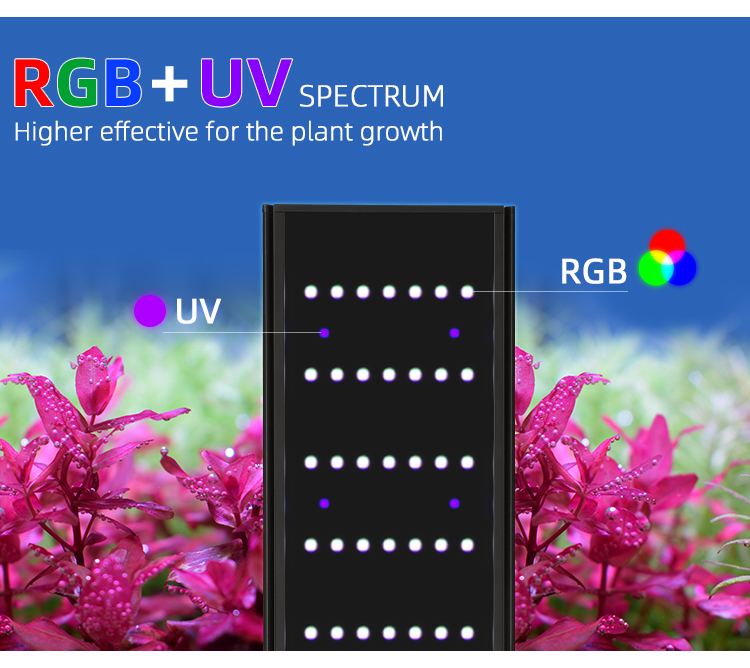WEEK AQUA L Series APP Control - Aquarium Plant Display reseña y precio