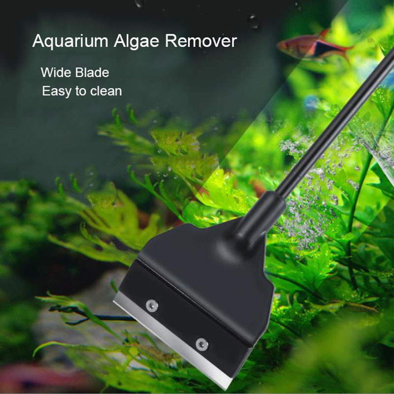 Wide Blade 6cm Light Weight Aq - Planted Aquarium Algae reseña y precio