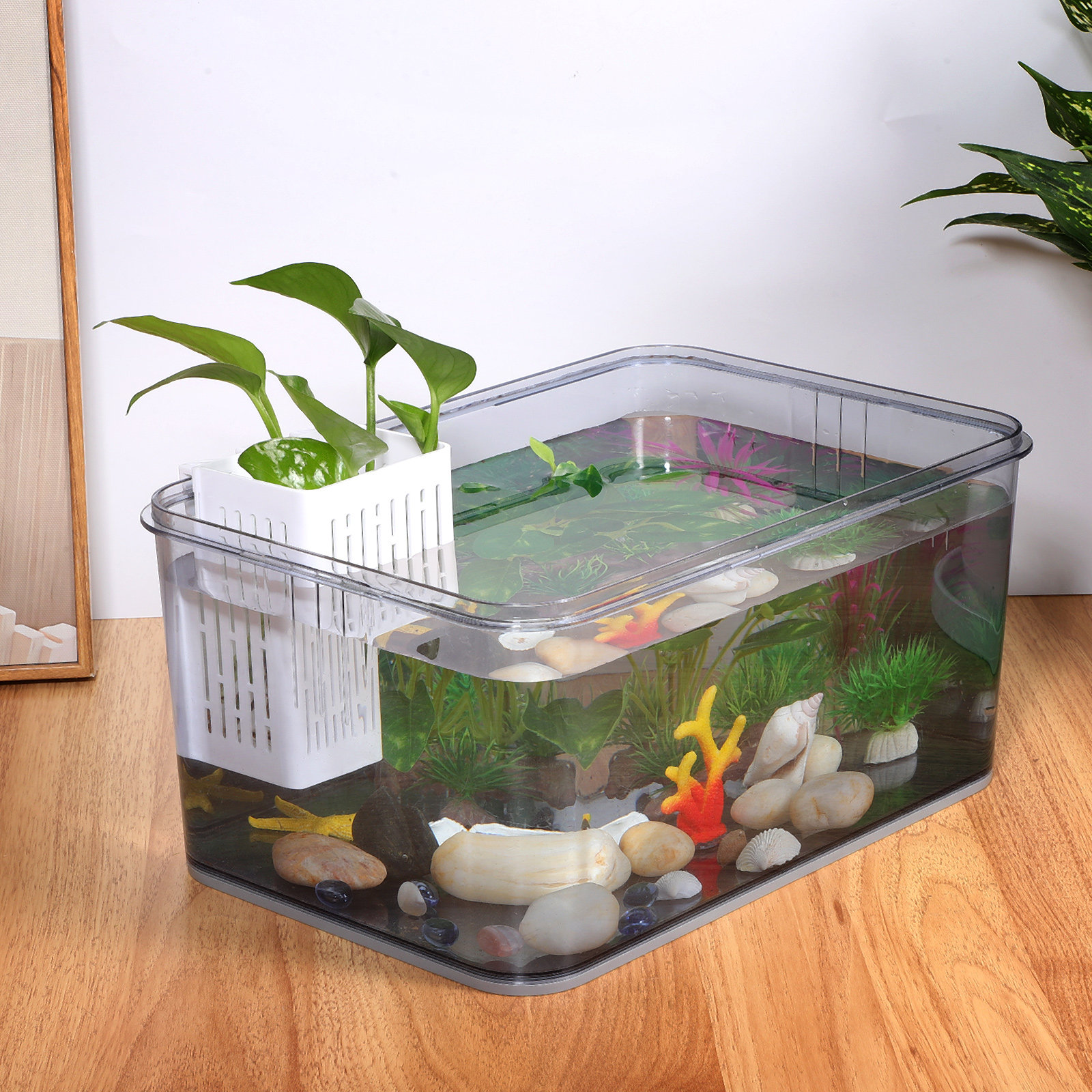 2pcs Aquarium Plant Baskets Pl - Aquarium Planted Tank reseña y precio