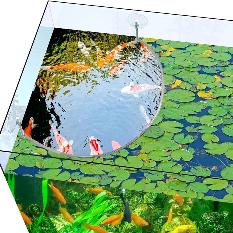 Floating Plant Corral Fish Fee - Planted Aquarium Equipment reseña y precio