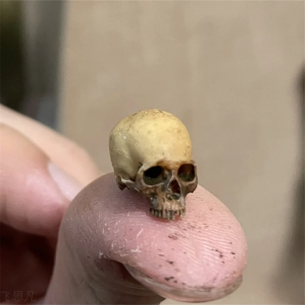 Mini Skull High Quality Miniat - Aquarium Plant Display reseña y precio