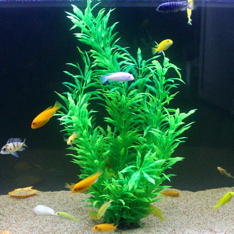 50CM Artificial Fish Tank Rare - Aquarium Plant Display reseña y precio