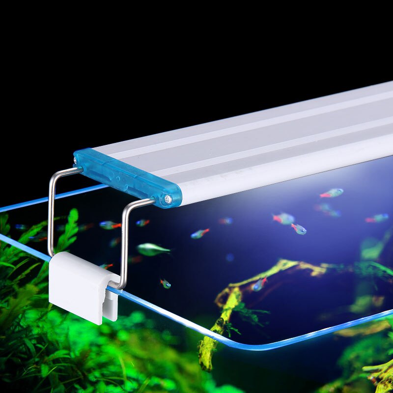 Extensible Waterproof Clip on  - Aquarium Plant Iron reseña y precio