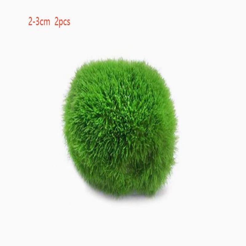 2Pcs Hydroponic Algae Balls Wa - Planted Aquarium Algae reseña y precio